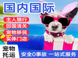 喀什徕宁机场物流国际宠物托运 【国